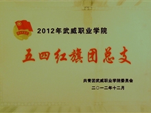 2012年武威職業(yè)學(xué)院五四紅旗團(tuán)總支獎(jiǎng)