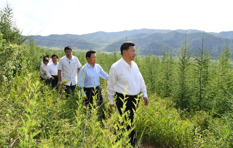 7月15日至16日，中共中央總書(shū)記、國(guó)家主席、中央軍委主席習(xí)近平在內(nèi)蒙古考察并指導(dǎo)開(kāi)展“不忘初心、牢記使命”主題教育。這是15日下午，習(xí)近平在赤峰市喀喇沁旗馬鞍山林場(chǎng)林區(qū)，沿著崎嶇的護(hù)林小道察看林木長(zhǎng)勢(shì)。